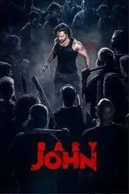 Baby John (2024) Hindi HD